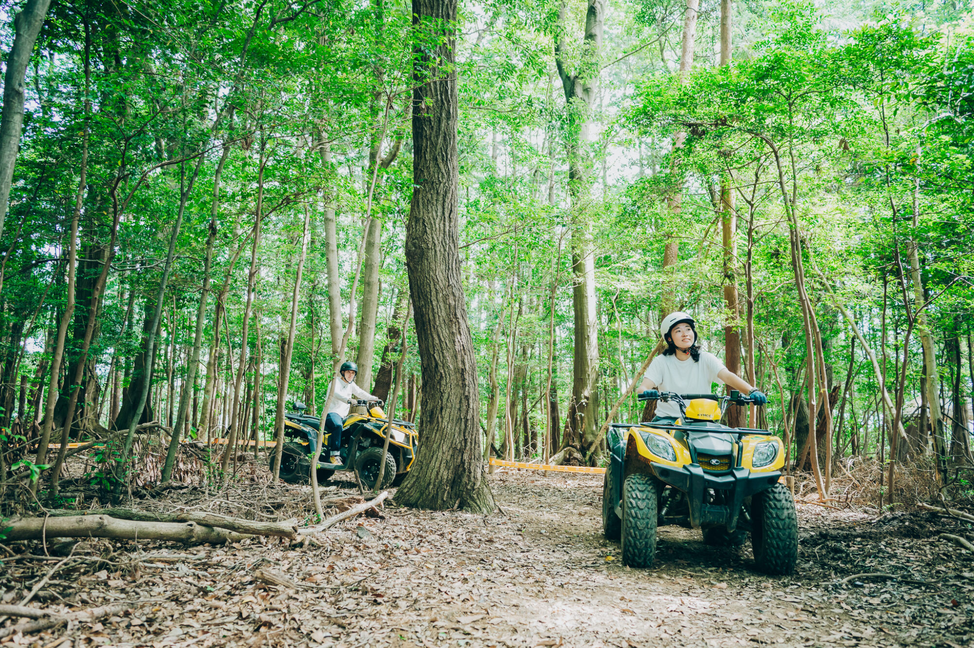 森が教えてくれる「学び」と「遊び」 アドベンチャーパーク　オドルの森