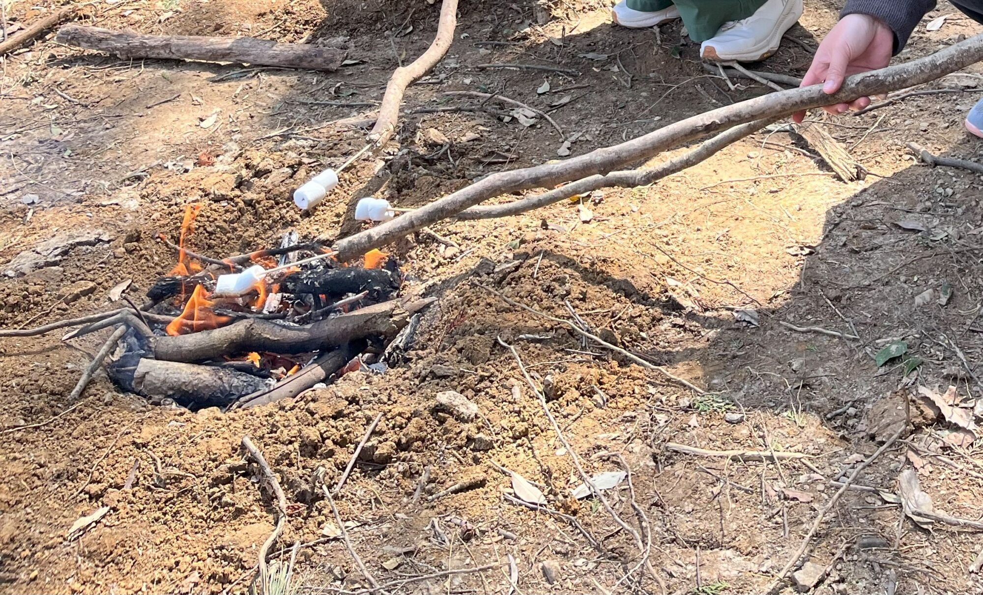 森が教えてくれる「学び」と「遊び」 アドベンチャーパーク　オドルの森