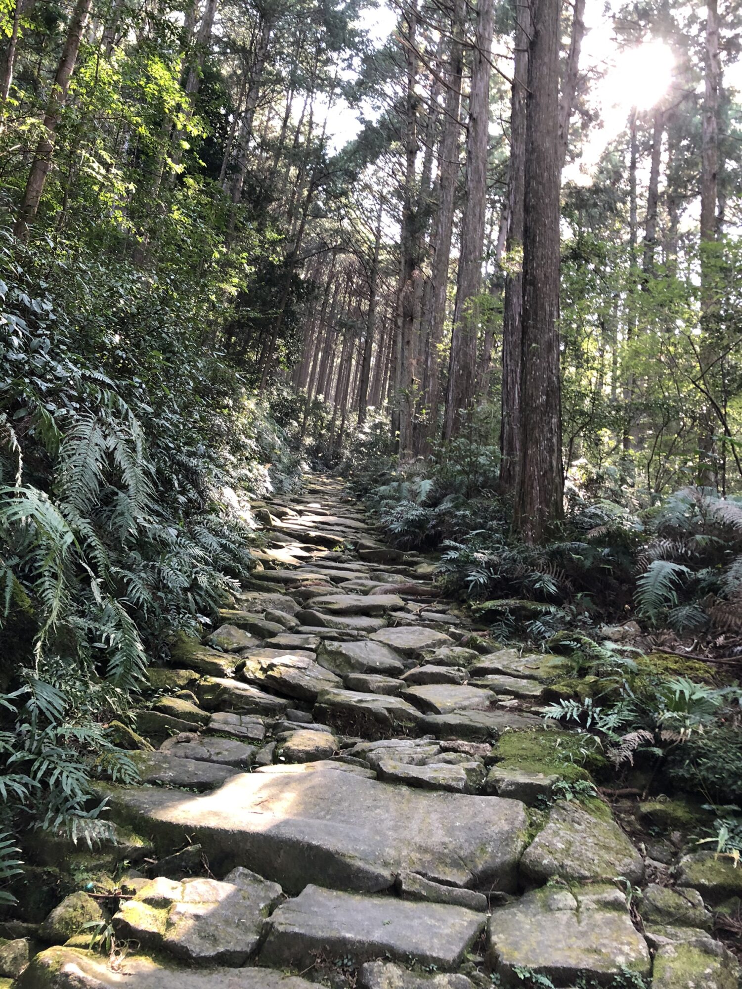 セラピストと歩く 馬越峠・天狗倉山