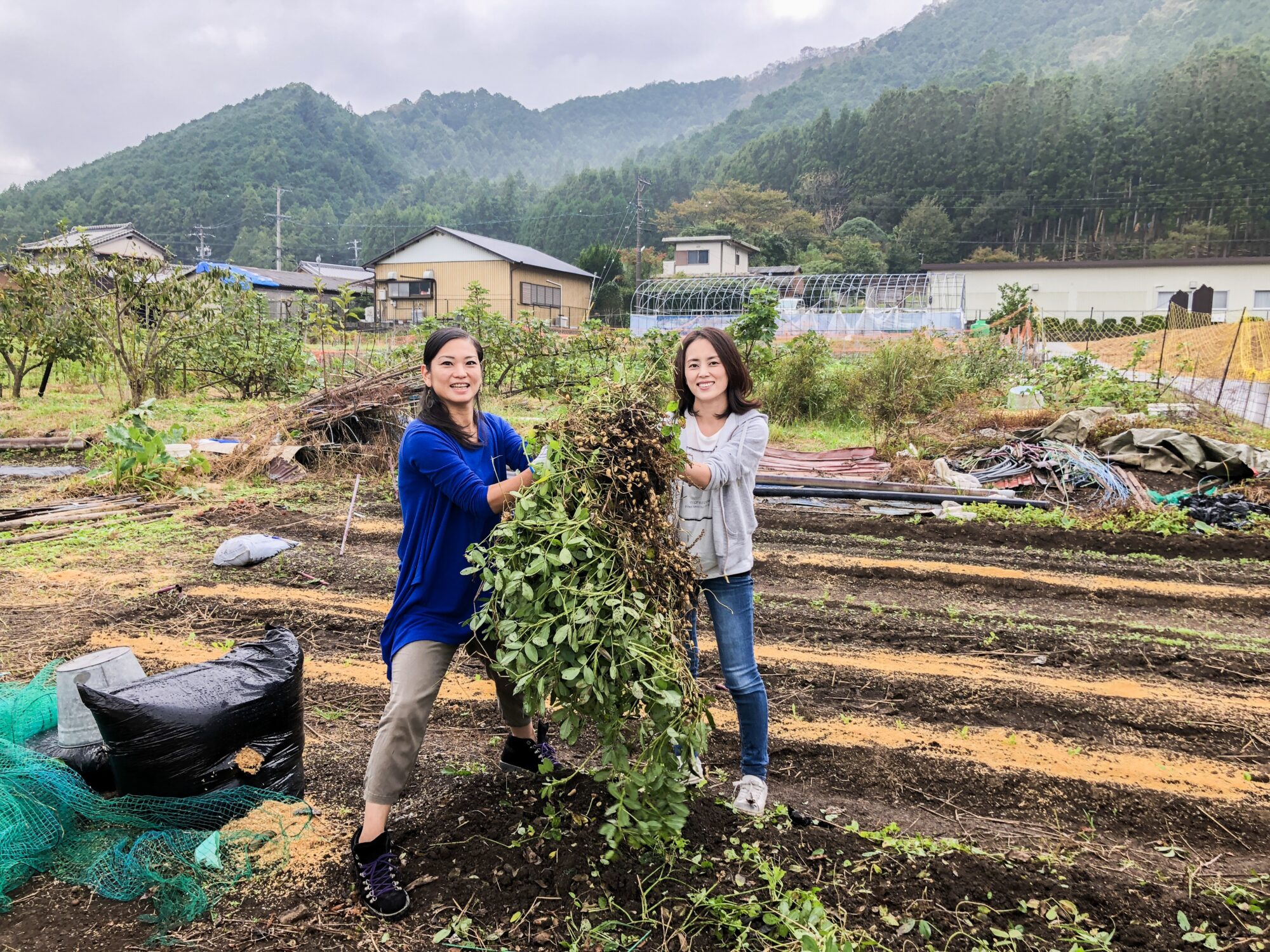 釜炊きご飯体験　野菜収穫体験　げんこつ飴づくり　餅つき　パンづくりなど