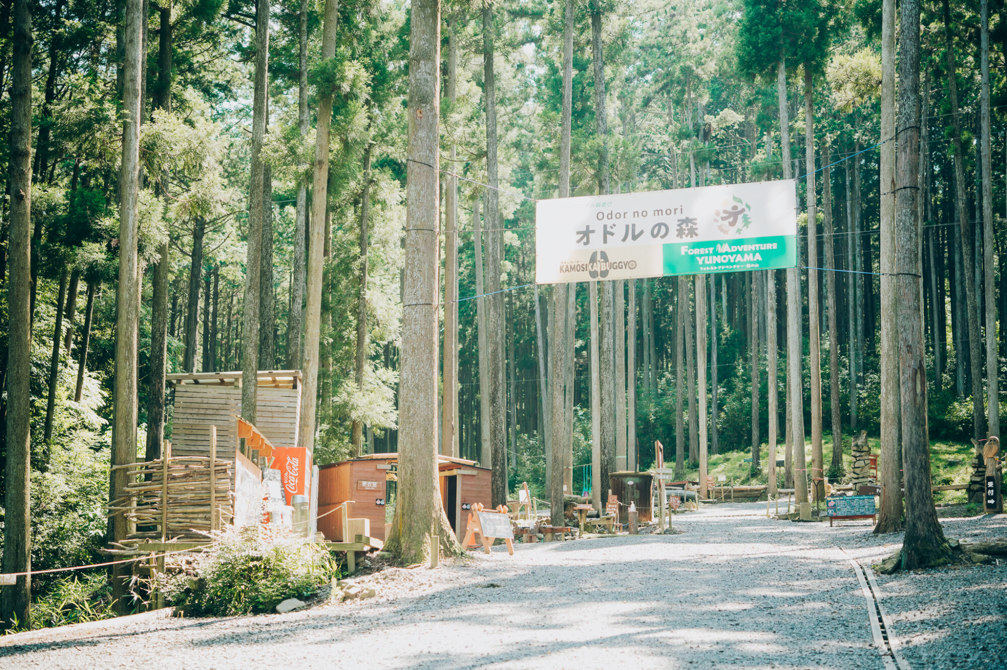 森が教えてくれる「学び」と「遊び」 アドベンチャーパーク　オドルの森