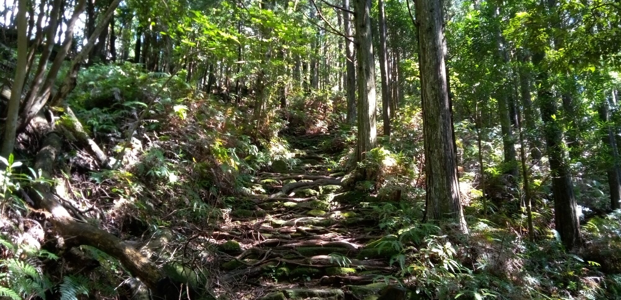 セラピストと歩く三木峠・羽後峠