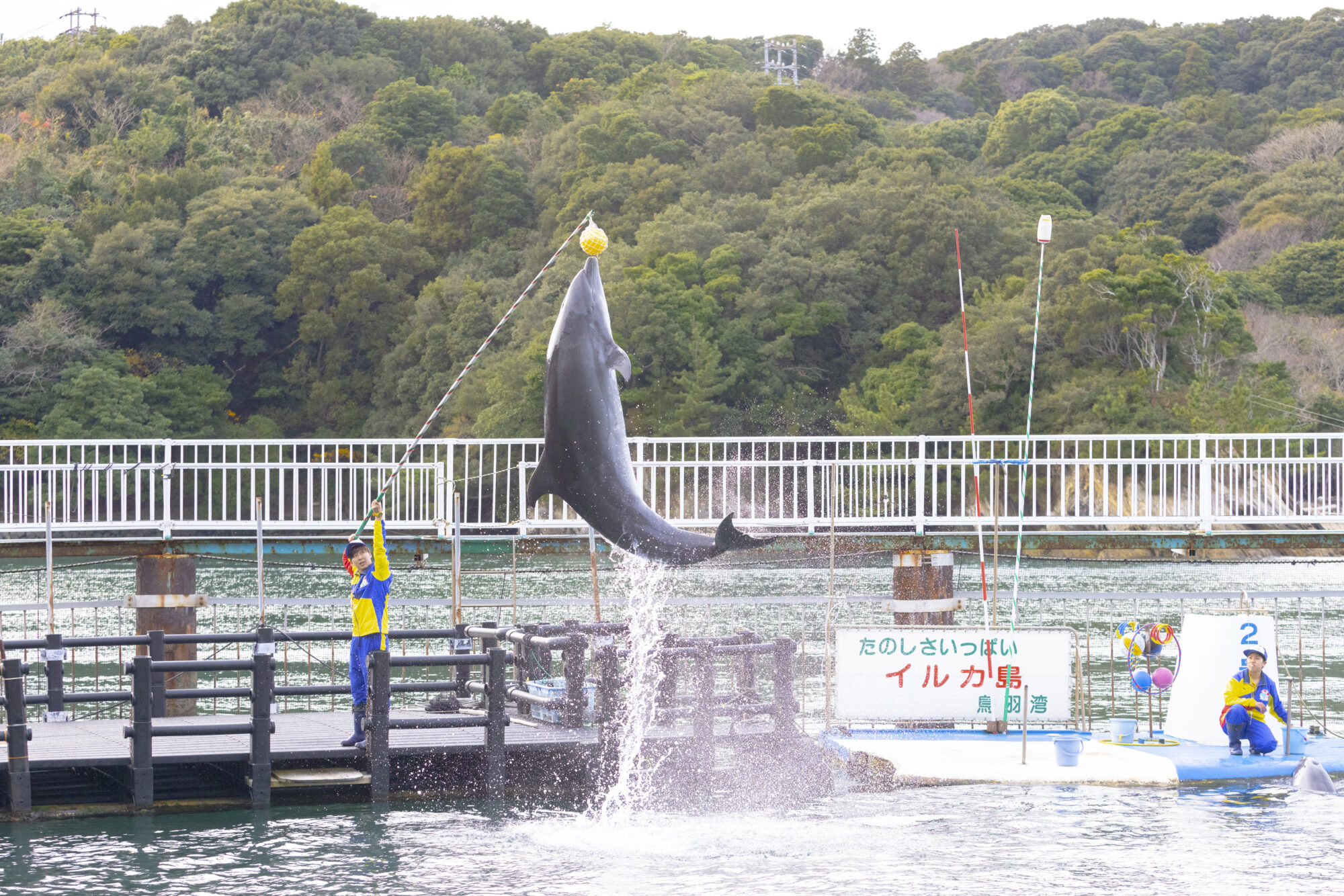 鳥羽湾めぐりとイルカ島