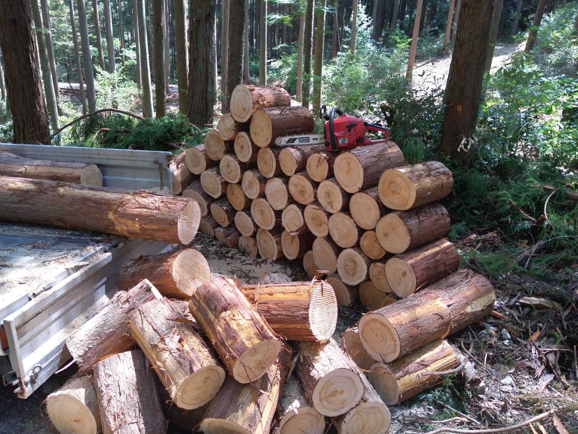 山林王の森スタディトレッキング【登山から学ぶ林業】