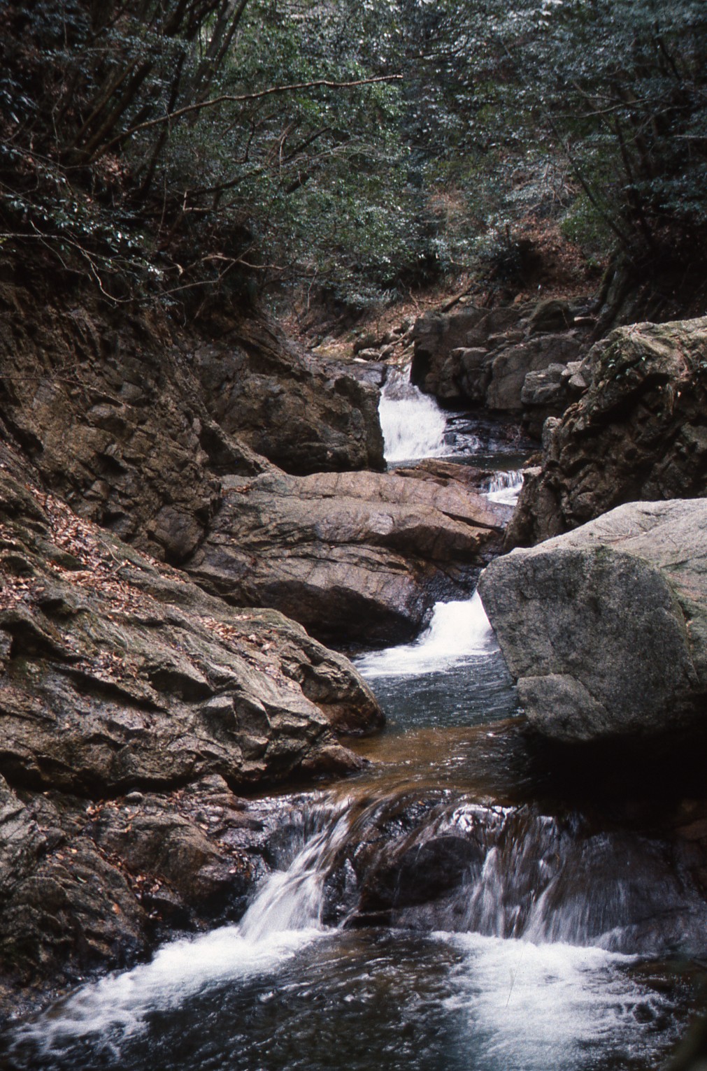 石水渓キャンプ場施設