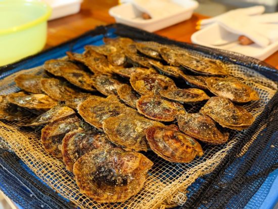 真珠取り出し／アクセサリー作り体験