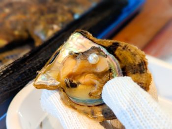 真珠取り出し／アクセサリー作り体験