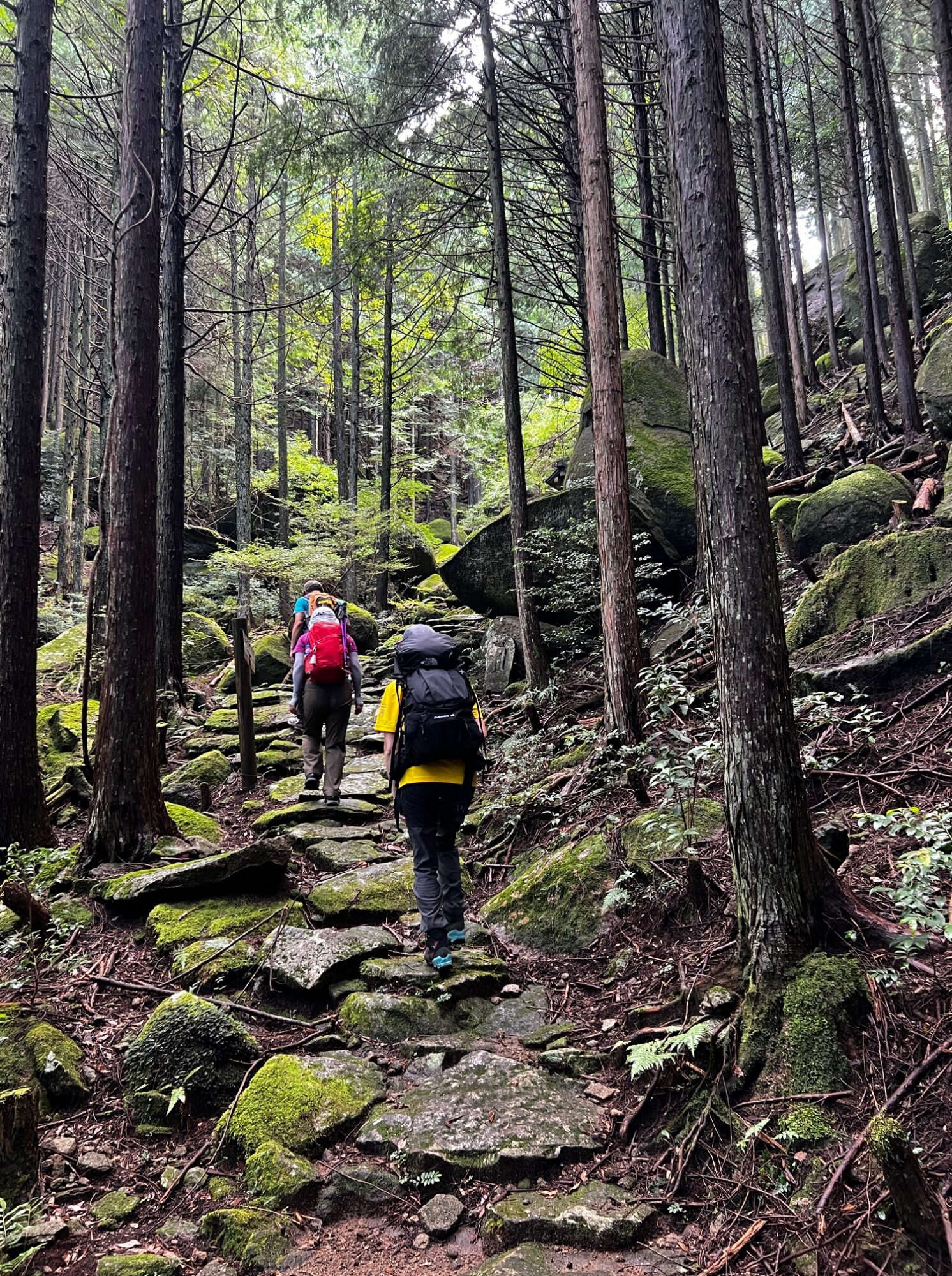 セラピストと歩く八鬼山越え