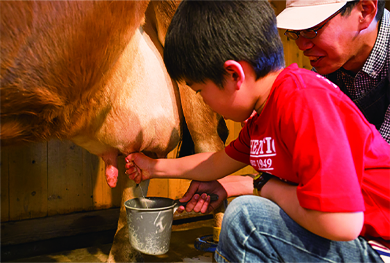 手づくり体験教室・のんびり学習牧場
