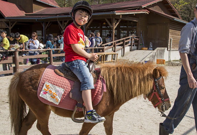 手づくり体験教室・のんびり学習牧場