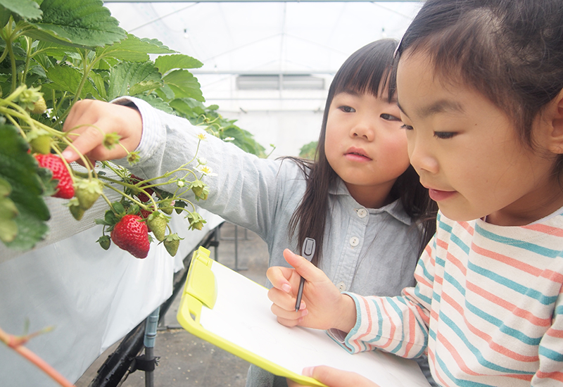 手づくり体験教室・のんびり学習牧場