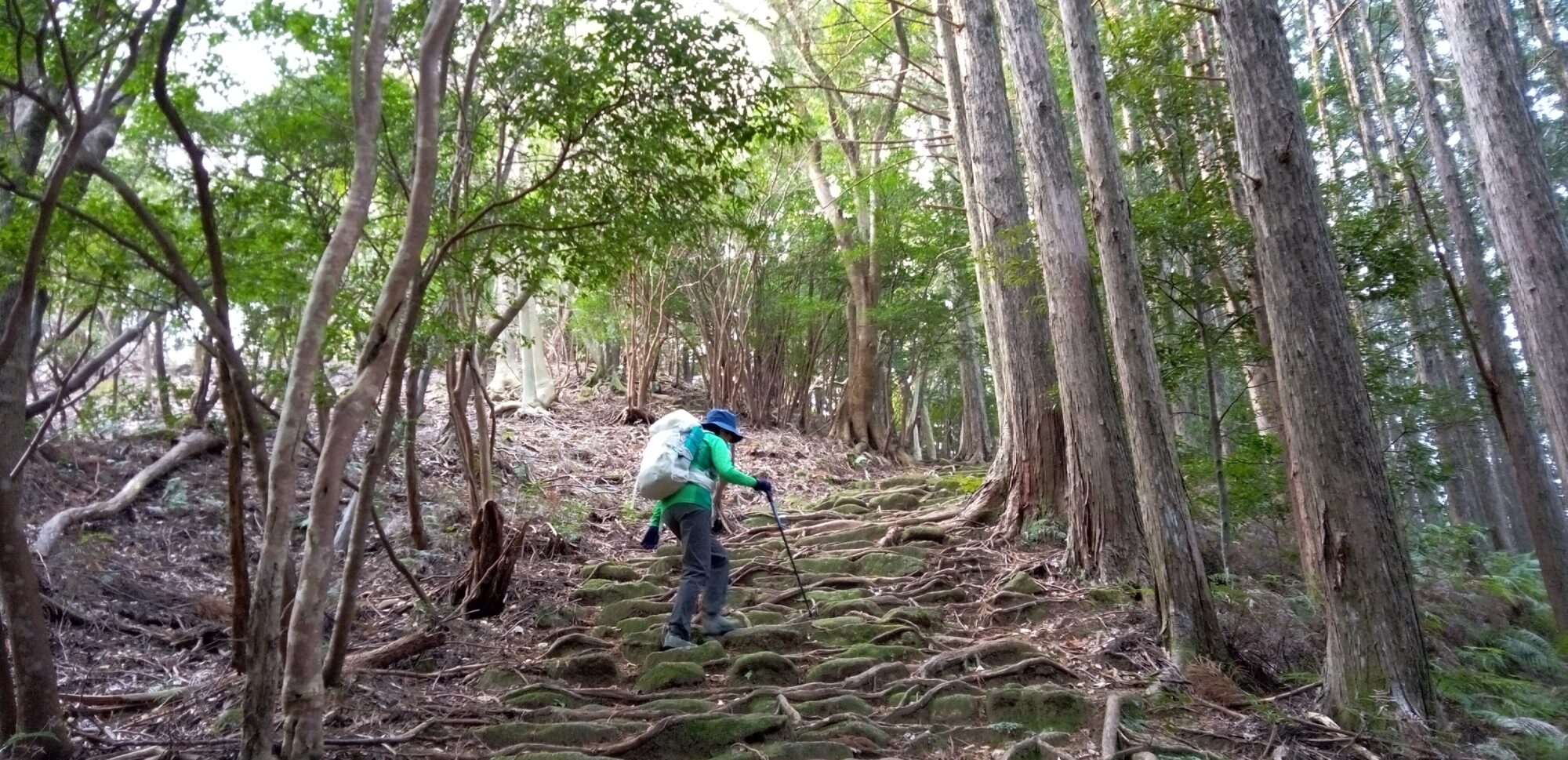 セラピストと歩く曽根次郎坂太郎坂