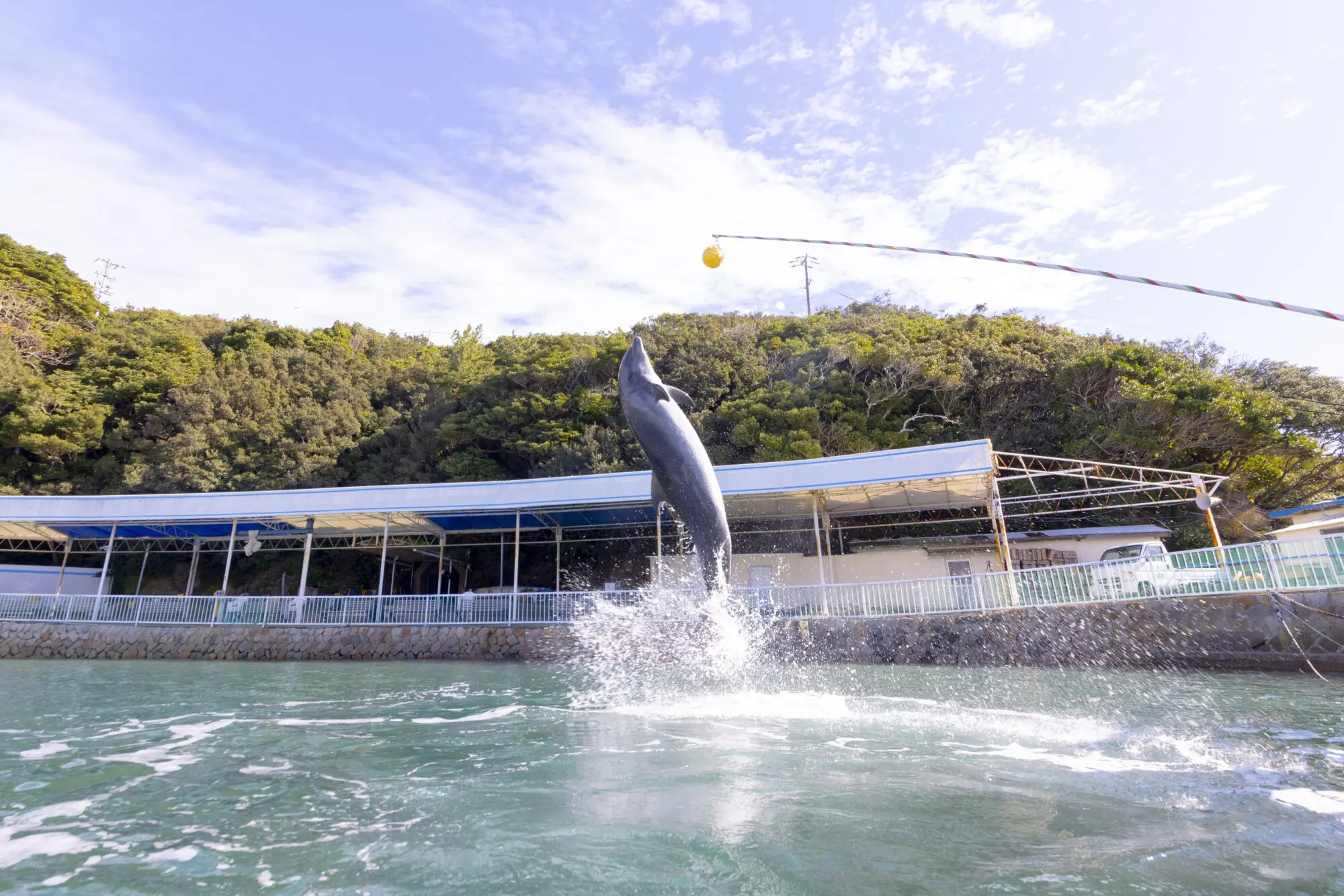 鳥羽湾めぐりとイルカ島