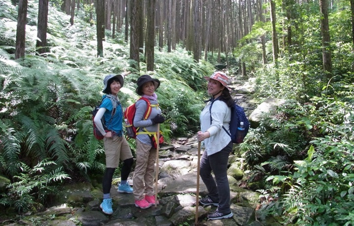 紀北町の熊野古道保全活動