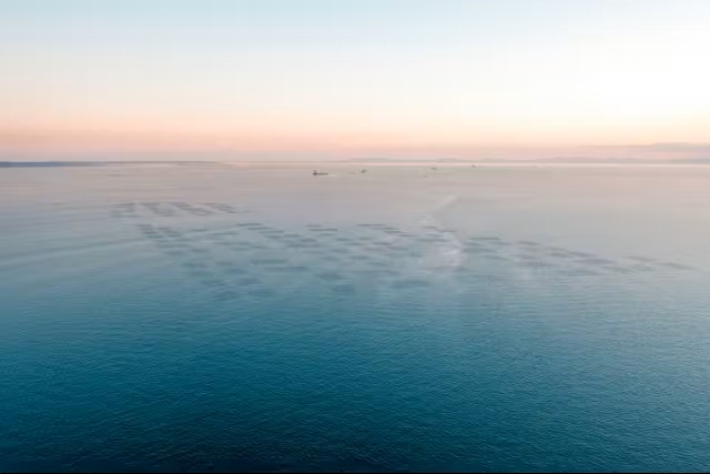 桑名海苔で飾り巻き寿司作り&種付け設備見学・ミニ講座