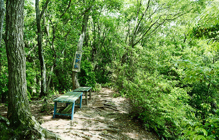 紀北町の熊野古道保全活動