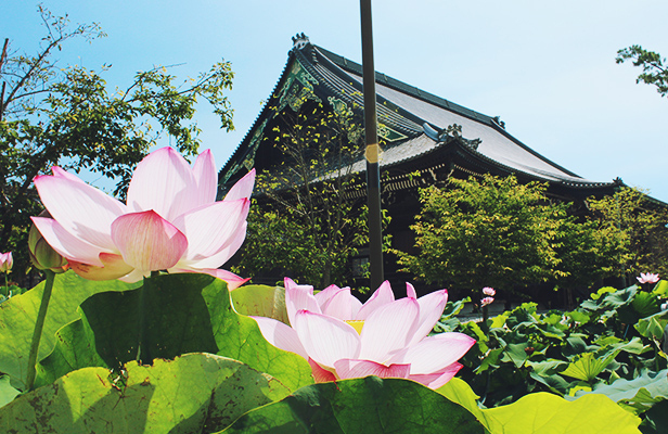 施設見学団体参拝（僧侶からの施設説明）